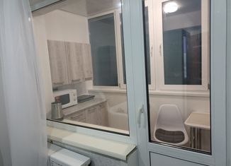 Сдача в аренду квартиры студии, 18 м2, Барнаул, Новосибирская улица, 38к1