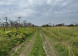 Продам земельный участок, 10 сот., деревня Слобода