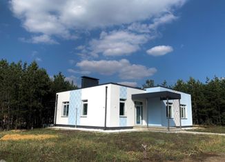 Дом на продажу, 183 м2, деревня Медовка, Янтарная улица, 36