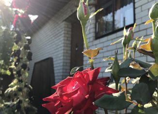 Продажа дома, 94.4 м2, село Ясные Зори, улица Кирова