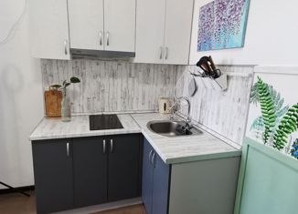 Аренда квартиры студии, 26 м2, Санкт-Петербург, Советский проспект, 36к1