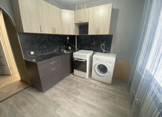 Продажа двухкомнатной квартиры, 41.8 м2, село Осиново, улица 40-летия Победы, 17