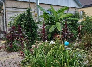 Продам дом, 93 м2, Белореченск, Центральная площадь