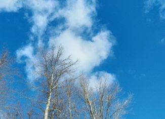 Земельный участок на продажу, 8 сот., посёлок Лесной