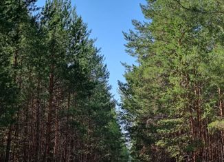 Продам дом, 415 м2, село Кетово, Лесная улица, 38