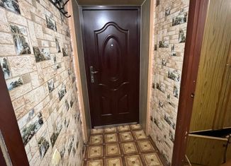 Продается 1-ком. квартира, 30.3 м2, село Нижние Муллы, Трактовая улица, 20