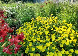 Продам земельный участок, 10000 сот., деревня Малая Шильна, Центральная улица