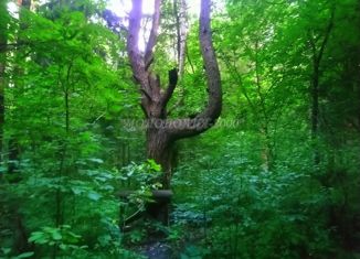 Продажа участка, 776.3 сот., садовое товарищество Гермес, садовое товарищество Гермес, 37