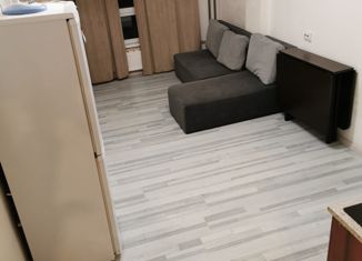 Продажа квартиры студии, 25 м2, Мурино, улица Шоссе в Лаврики, 63, ЖК Муринское-1