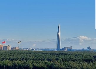 Продам квартиру студию, 24 м2, Санкт-Петербург, Планерная улица, 93с1, ЖК Нью Тайм