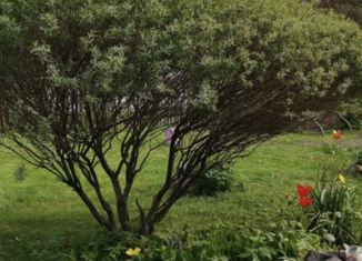 Продаю дом, 55 м2, село Александровское, Красноармейская улица, 602