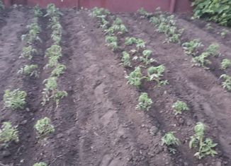 Продаю дом, 75 м2, село Верхний Телелюй, улица Некрасова, 1