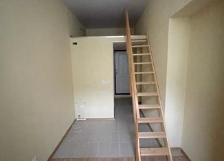 Продажа квартиры студии, 16.6 м2, Санкт-Петербург, Невский проспект, 103, метро Площадь Восстания