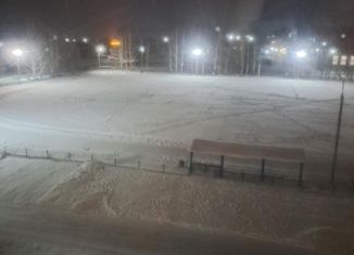 Продажа квартиры студии, 26 м2, деревня Хохряки, Тепличная улица, 30