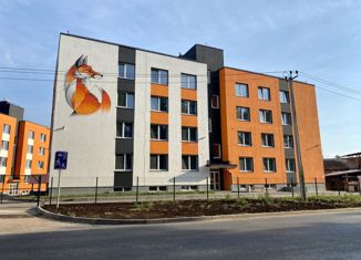 Продажа 2-комнатной квартиры, 48.1 м2, Пермь, 1-я Гиринская улица, 23, ЖК Лис