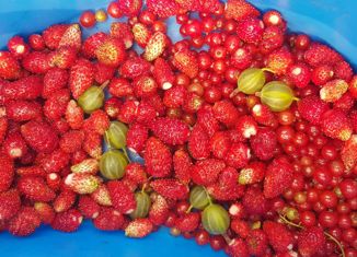 Продаю дом, 16 м2, СНТ № 24, 16-я улица