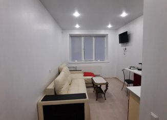 Продам однокомнатную квартиру, 20 м2, село Кулешовка, Молодежная улица, 1