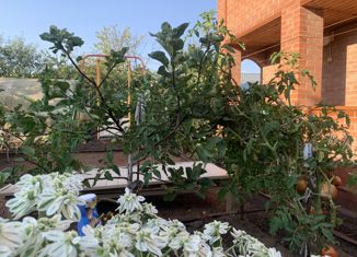 Продаю дом, 28 м2, Тольятти, СТ Водник, 33