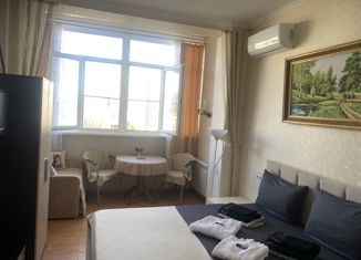 Сдам в аренду квартиру студию, 24 м2, Сочи, Курортный проспект, 75к1
