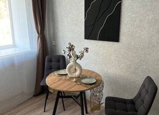 Продажа 1-комнатной квартиры, 34 м2, Казань, улица Химиков, 3, Московский район