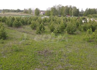 Продажа участка, 12.35 сот., село Борки, Советская улица, 14