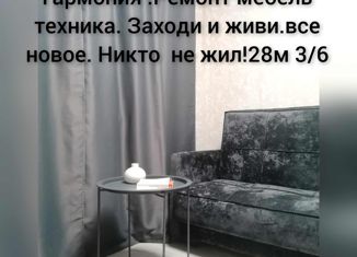 Продам 1-комнатную квартиру, 28 м2, Михайловск, Музыкальная улица, 10