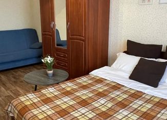 Сдам в аренду однокомнатную квартиру, 28 м2, Йошкар-Ола, улица Машиностроителей, 4А