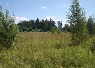 Продается земельный участок, 10 сот., деревня Бор, деревня Бор, 45А