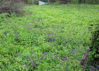 Продаю земельный участок, 13 сот., село Молдавановка