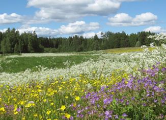 Участок на продажу, 20 сот., село Микулино, улица Микрорайон