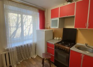 1-комнатная квартира на продажу, 30.2 м2, Владимирская область, улица Менделеева, 25
