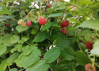 Дом на продажу, 35 м2, Набережные Челны, СНТ Энергетик, 207