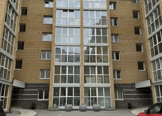 Однокомнатная квартира на продажу, 53 м2, деревня Киселёвка, Изумрудная улица, 8
