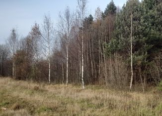 Земельный участок на продажу, 10 сот., рабочий посёлок Решетниково, Южная улица, 14