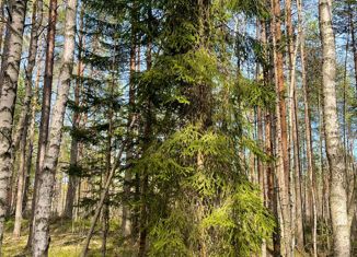 Продажа земельного участка, 10 сот., территория СОСН Бирюлинская, территория СОСН Бирюлинская, 15