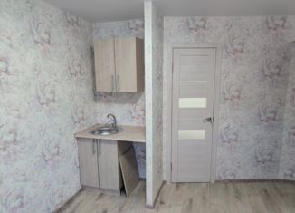 Продаю квартиру студию, 13.1 м2, Омск, Степная улица, 239, Центральный округ