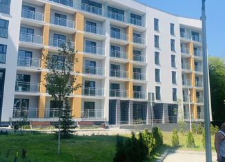 Продажа двухкомнатной квартиры, 52.3 м2, Светлогорск, Кленовая улица, 2