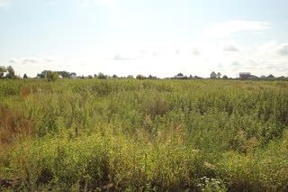 Продается земельный участок, 12 сот., село Сингуль Татарский