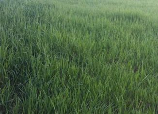 Участок на продажу, 10 сот., деревня Старцево, Весенняя улица, 20А