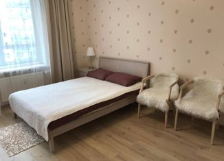 Аренда квартиры студии, 26.5 м2, Мурино, Скандинавский проезд, 4к1, ЖК Эланд