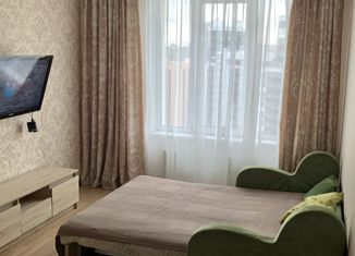 Аренда однокомнатной квартиры, 37 м2, Ленинградская область, улица Шувалова, 7