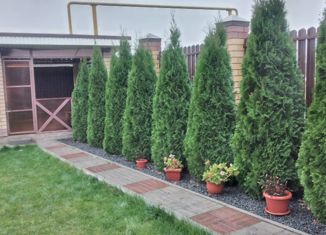 Продаю земельный участок, 6.23 сот., деревня Ройка, деревня Ройка, 1А