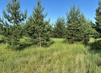 Продам земельный участок, 9.8 сот., деревня Минино, Центральная улица