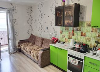 Продажа 1-комнатной квартиры, 34.59 м2, Великие Луки, улица Гоголя, 15