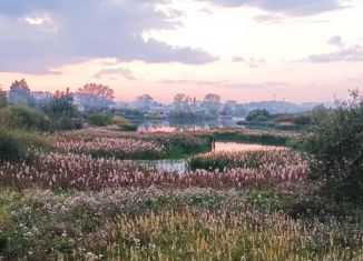 Дом на продажу, 25 м2, СНТ Рябинка, СНТ Рябинка, 230