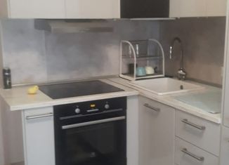 Аренда однокомнатной квартиры, 35 м2, деревня Кудрово, Столичная улица, 11к3