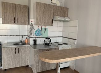 Продажа квартиры студии, 30.5 м2, Екатеринбург, Таватуйская улица, 25к4, Железнодорожный район