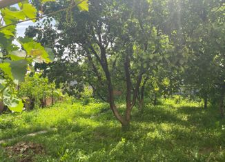 Продам участок, 5 сот., СНТ Здоровье, 12-я линия