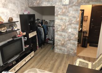 Продаю 1-комнатную квартиру, 28.5 м2, посёлок Берёзовый, улица имени Туполева А.Н., 1, ЖК Прогресс