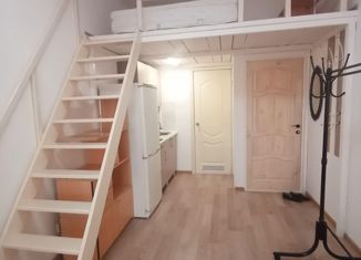 Сдается квартира студия, 22 м2, Пермский край, улица Чайковского, 35